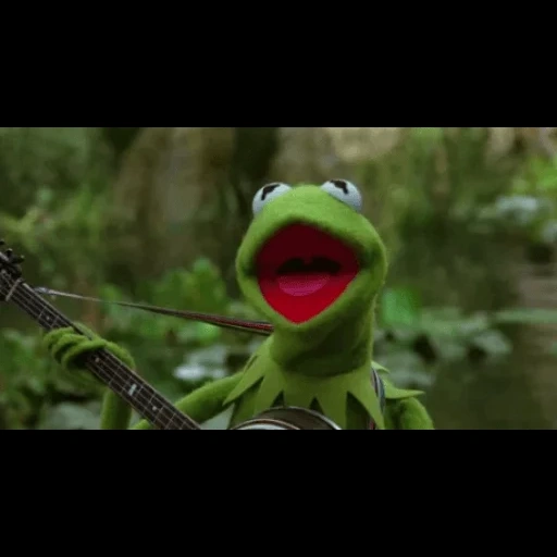 kermit, muppet show, comet the frog, frog comet swamp, frog comey banjo