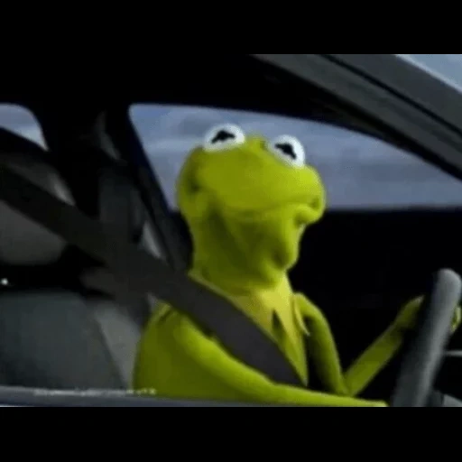 spectacle de mappétage, meme kermit, top 20 le plus drôle, cermite de grenouille, grenouille cermit au volant