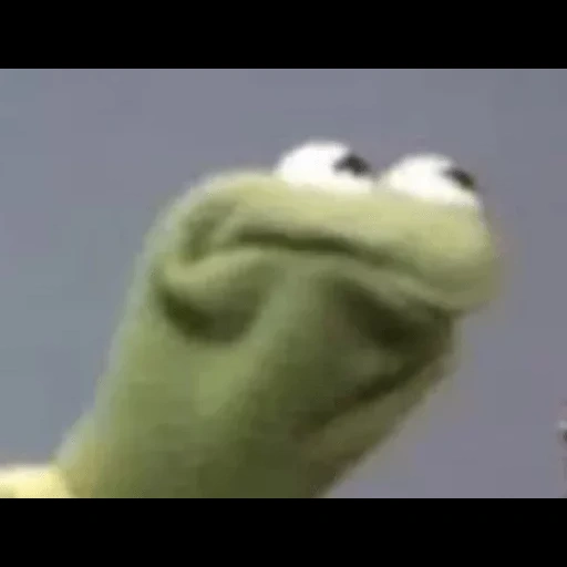 kemet, kermit, kermit der frosch, der frosch komi-ring, kermit der frosch lacht