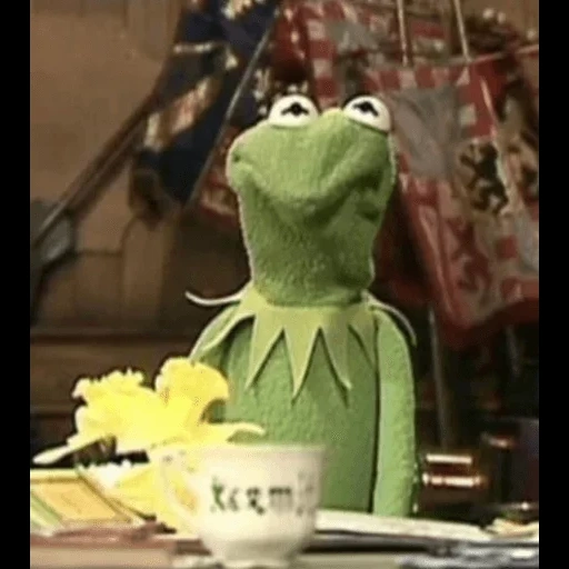 muppet show, kermit for tea, comet the frog, frog comet tea, frog comet meme tea