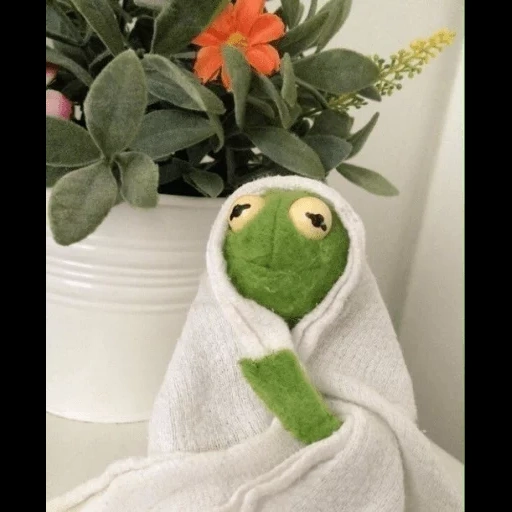 kermita, rana kermita, rana cermit, la rana kermit es querida, rana cermit estética