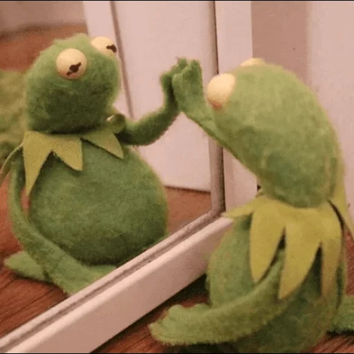 kermit, kermit, komi frog, comet the frog, comet the frog by the mirror