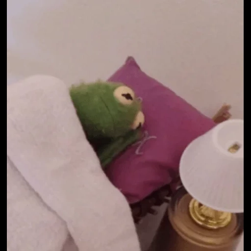 kermit, rana cermit, la rana kermit está durmiendo, la rana kermita está durmiendo, rana cermit estética