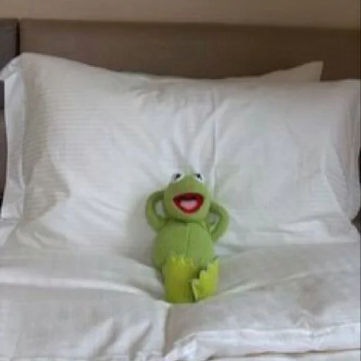 kermit, kermit, bedclothes, comet the frog, comet the frog is asleep