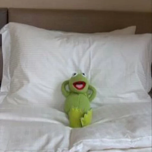 kermit, kermit, biancheria da letto, kermit la rana, kermit la rana dorme