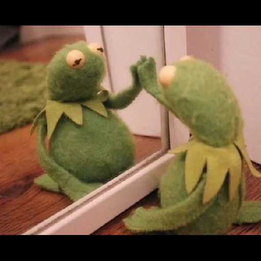 kemit, kermit, grenouille de komi, kermit la grenouille, kermit la grenouille près du miroir