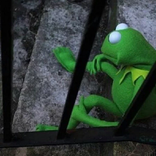 kemit, kermit la grenouille, kermit la grenouille, mème kermit grenouille, kermit la grenouille est triste