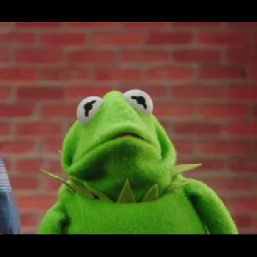 kermita, kermit, show, rana cermit, la rana cermit está llorando