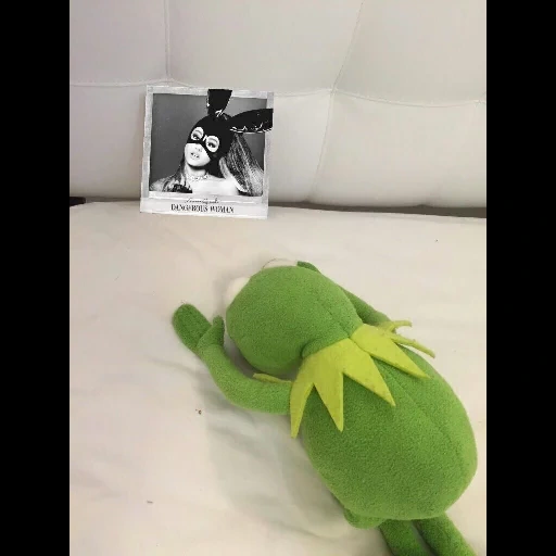 kermit, kermit, kermit bts, la rana di kermit, kermit la rana