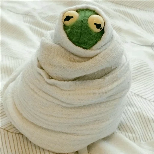 kermit, memes of love you, kermit blanket, comet the frog, comet the frog