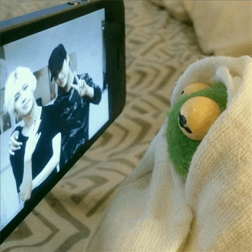 kermit, kermit, television, kermit's meme, comet the frog