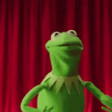 kermit, pertunjukan muppet, kermit si katak, pertunjukan muppet katak, muppet performance frog