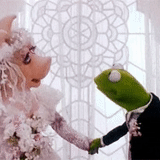 the muppet, pertunjukan muppet, nona kermit piggy, pernikahan miss piggy kermit, nyonya piggy frog kermit