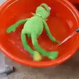 frog, toys, frog, komi frog, comet the frog