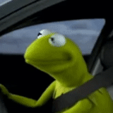 kermit, the frog, kermit meme, kermit driving, the frog comet drives