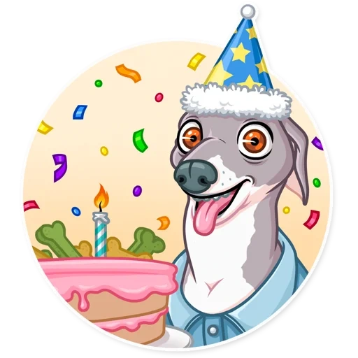 cachorro komit, aniversário