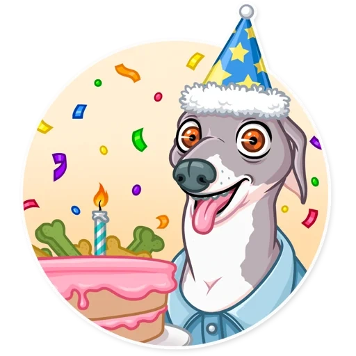 perro comte, cumpleaños