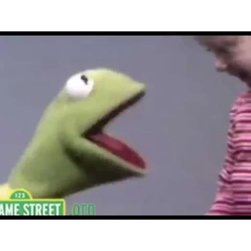 kermit, rana cermit, el pánico de la rana kermita, la rana kermite se ríe