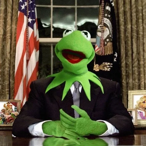 frosch, kermit, kermit meme, frosch cermit, frosch kermit präsident