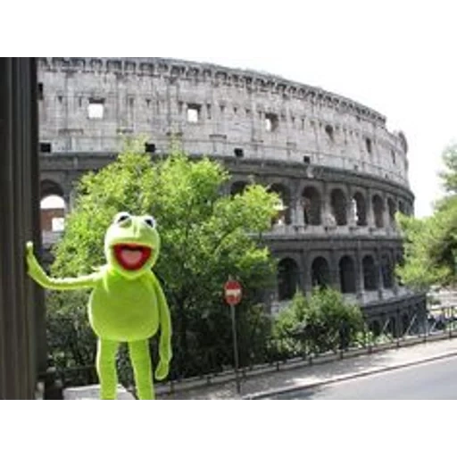 colosseo, colosseo d'italia, frog cermit, ancient roma coliseum, colosseo di italia trevi