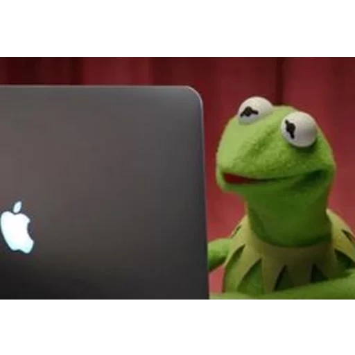 expedidor, kermit, memics, espiga, meme de kermita