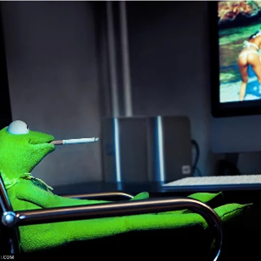 3 d, frog, kermit, лягушонок кермит