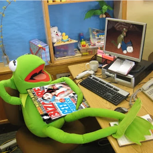 kermit, un giocattolo, frog cermit, cermit al computer, rana cermit al computer