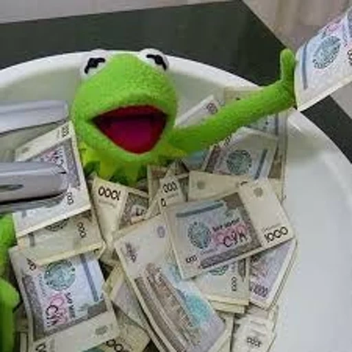 money, a lot of money, kermite frog, cermit with money, frog cermit