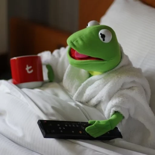 kermit, frog cermit, muppets constantine, the frog kermite is sleeping, the frog kermite reporter