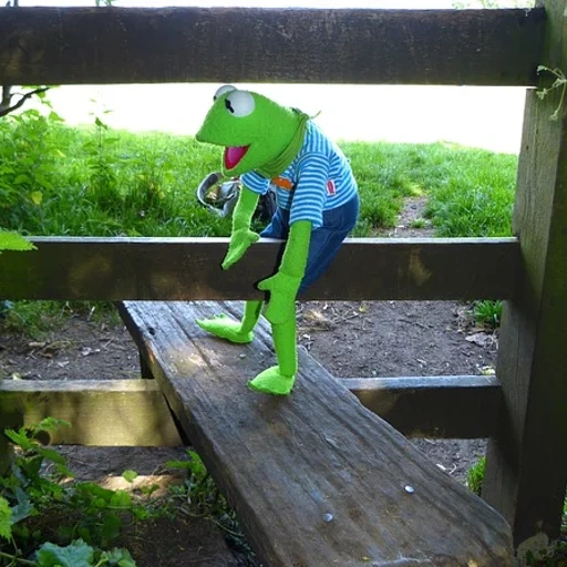 kermit, rana kermita, rana cermit, el meme de la rana kermita, los memes de rana kermite