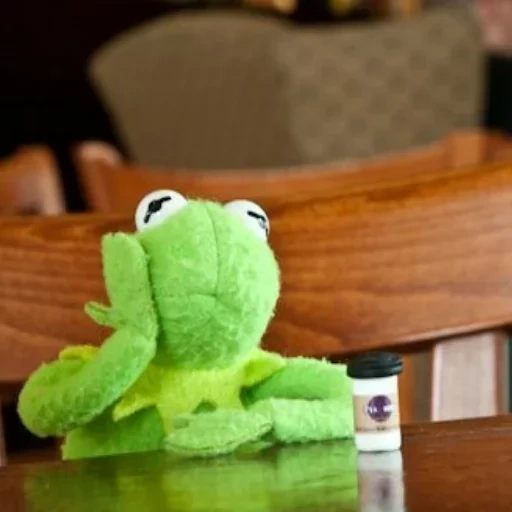 kermit, cermit sad, kermite frog, frog cermit, plush frog kermit