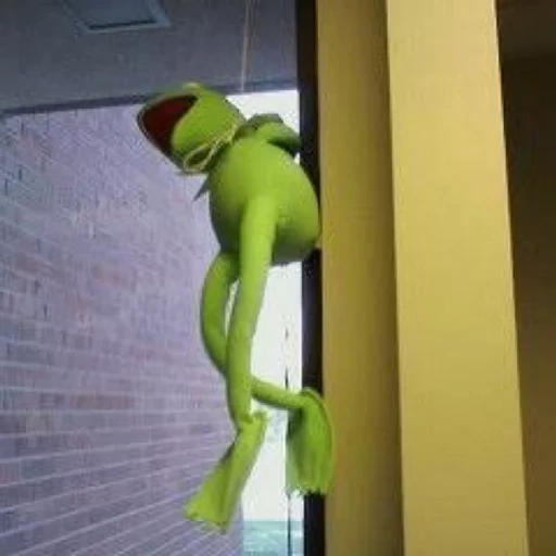 kermit, кермит суисайд, лягушонок кермит, лягушонок кермит петле, kermit the frog suicide