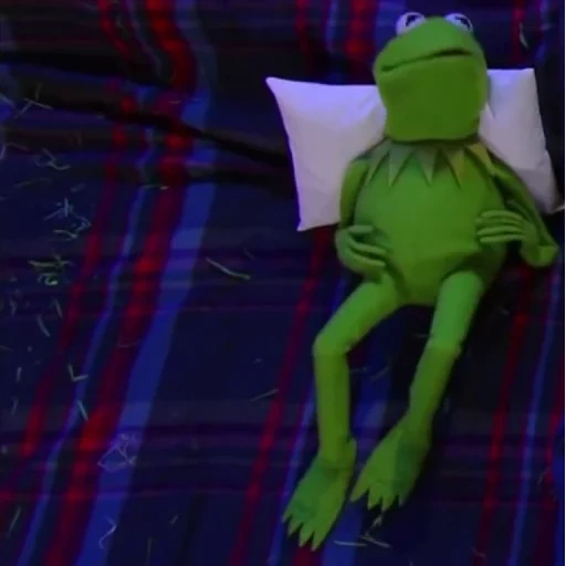 кермит, kermit, стивен кольбер, лягушонок кермит, плюшевая игрушка лягушка