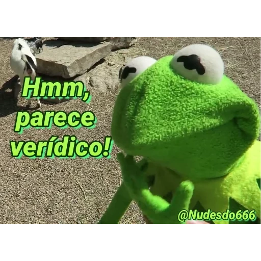 kermit, кермит, кермит мем, кермит лягушка, лягушонок кермит