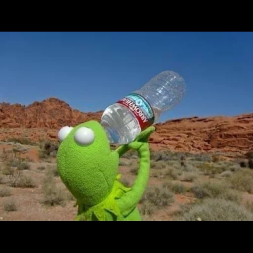 бутылка, kill meme, кермит лягушка, держи жабу андертейл, oscar's oasis bad trip