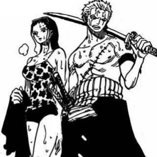 rorono a zoro, cartoons of one piece, i fumetti di zorro robin, fengtian wanping fumetti, fumetti van pies luftzorro