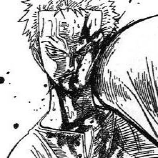 zoro manga, зоро манга, гароу манга, ророноа зоро, ророноа зоро манга