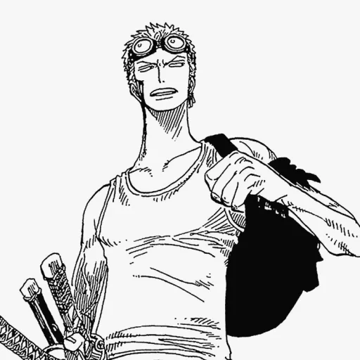 zoro, zoro manga, roronoa zoro, karakter anime, manga roronoa zoro