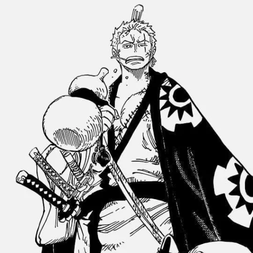 mangaterial  One piece manga, Zoro, Zoro one piece