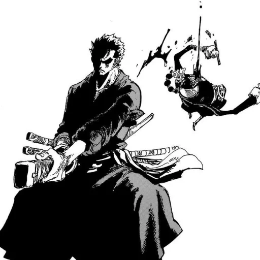 zoro manga, robin manga, roronoa zoro, samurai manga, karakter manga