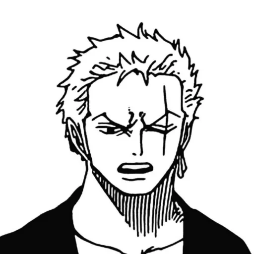 zoro, roronoa zoro, ikon roronoa zoro, zoro timskip manga, gambar roronoa zoro