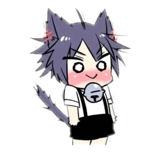 animação z, gato de gaza, imagem de anime, garoto gato preto, personagem de anime