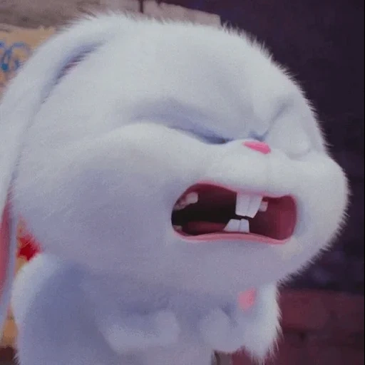 кролик снежок, веселый кролик, кролик смешной, тайная жизнь домашних животных, кролик снежок тайная жизнь домашних животных 1
