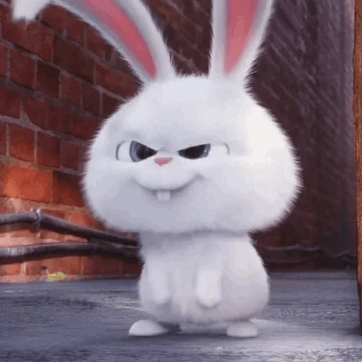 snowball, злой кролик, кролик снежок, тайная жизнь домашних кролик снежок, тайная жизнь домашних животных кролик снежок злой
