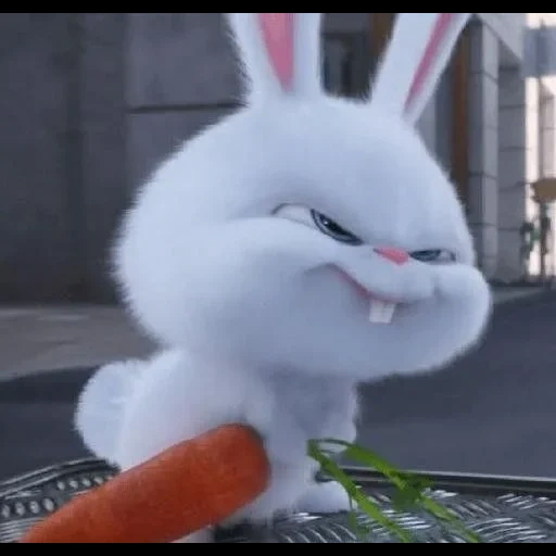 злой кролик, кролик снежок, злой заяц морковкой, тайная жизнь домашних животных кролик, тайная жизнь домашних животных заяц снежок
