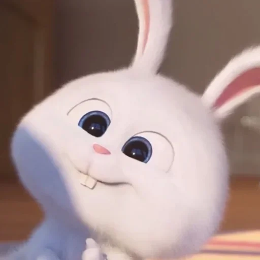 bunny, зайцев, игрушка, cute bunny, тайная жизнь домашних животных заяц снежок