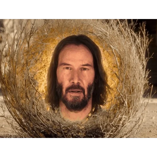 keanu reeves, kenu jesus, schauspieler keanu reeves, keanu reeves spongebob, keanu reeves rollt das feld