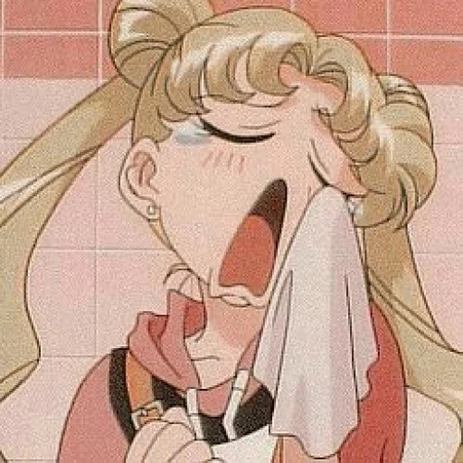 figure, sailor moon, dana diana, animation aesthetics 90x, akino dazuji cried