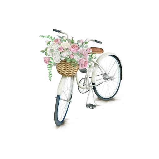 велосипед цветы, велосипед цветами, велосипед цветами вектор, велосипед корзиной цветов, модная девочка велосипед цветы прозрачном фоне