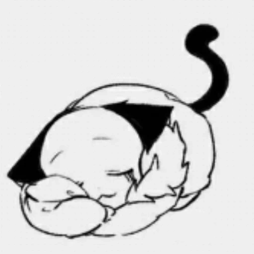 кот, кошка, кошка вектор, милые рисунки, черно белая кошка